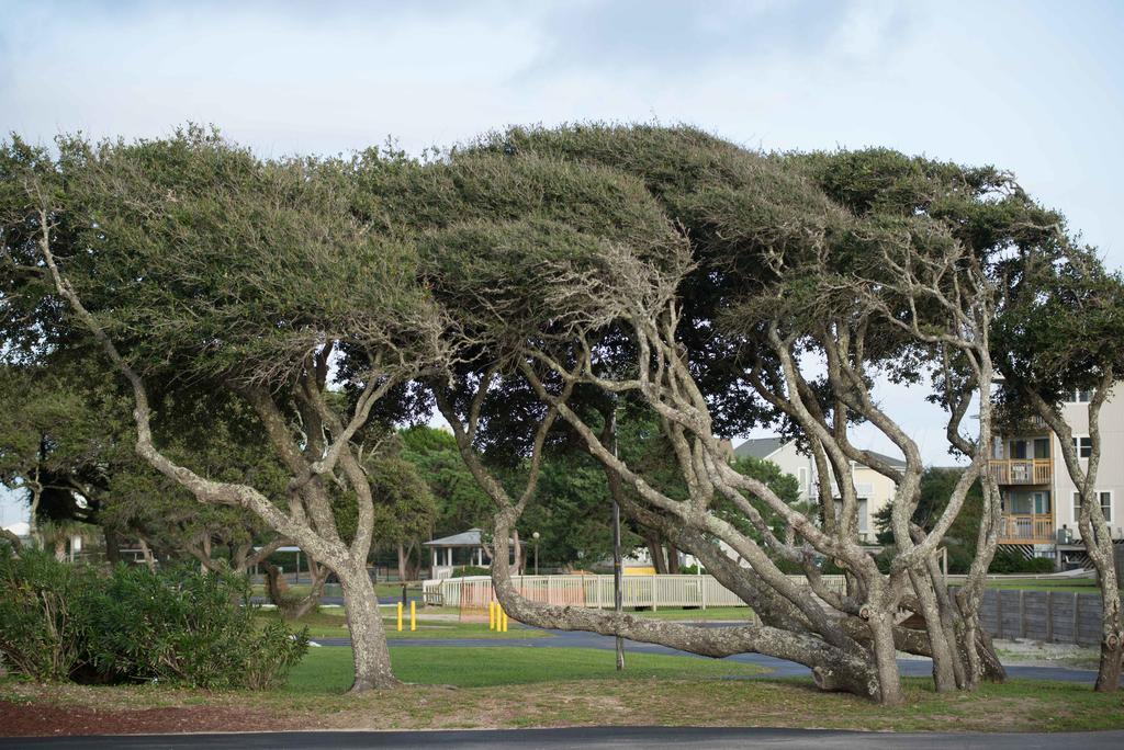 Atlantic Beach Resort, A Ramada By Wyndham מראה חיצוני תמונה